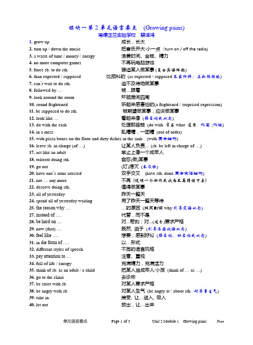 2. 牛津高中英语单元要点  Module 1  Unit 2  Growing pains