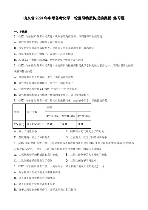 山东省2023年中考备考化学一轮复习物质构成的奥秘 练习题(含解析)