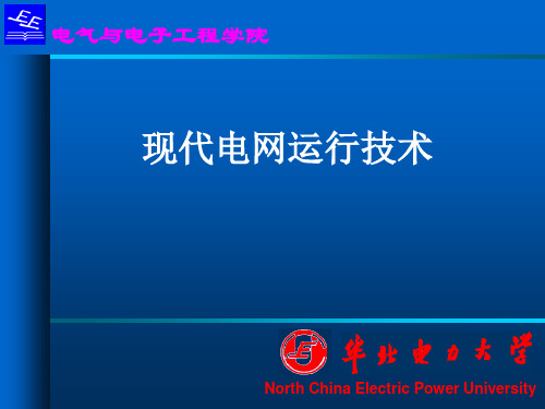 8现代电网运行技术(第二章稳定问题3)1103161