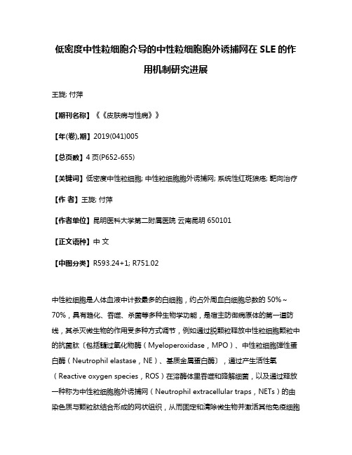 低密度中性粒细胞介导的中性粒细胞胞外诱捕网在SLE的作用机制研究进展