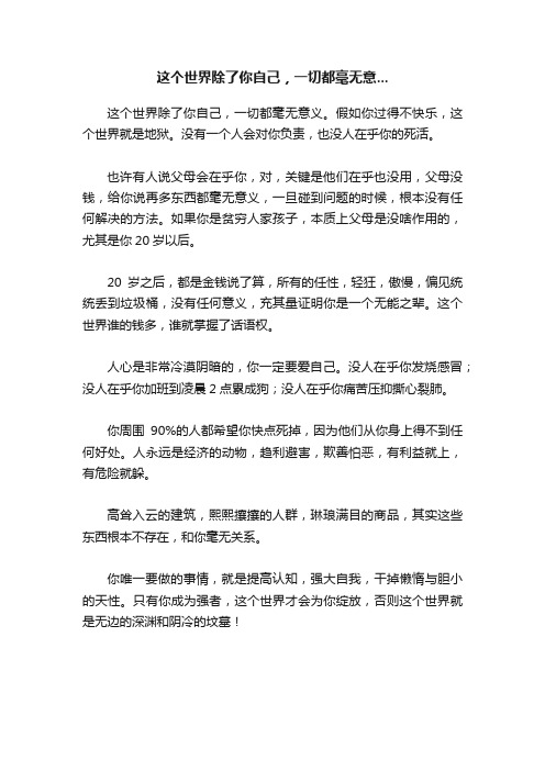 这个世界除了你自己，一切都毫无意...