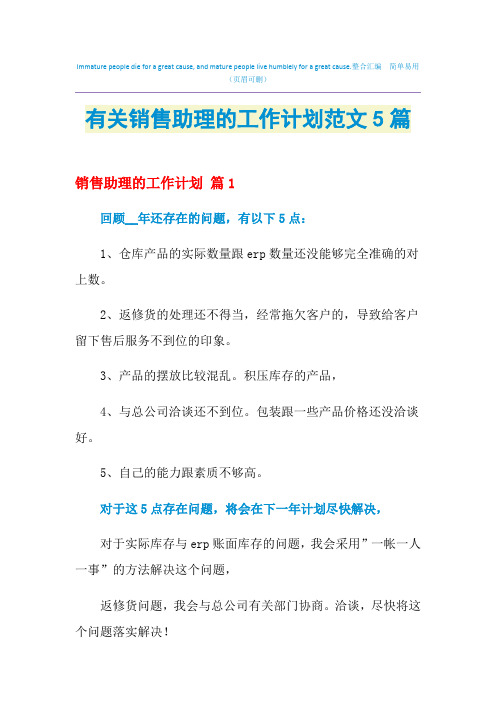 2021年有关销售助理的工作计划范文5篇