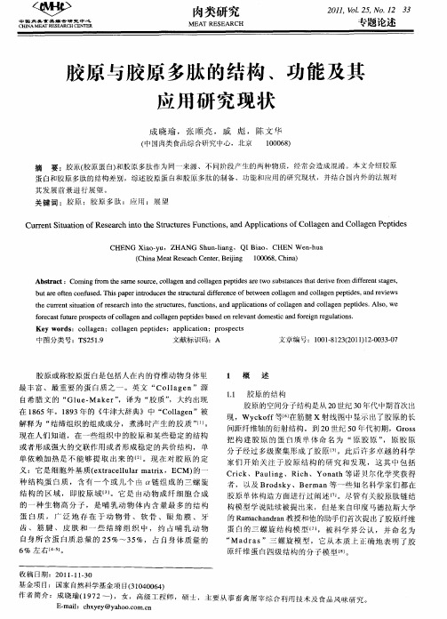 胶原与胶原多肽的结构、功能及其应用研究现状