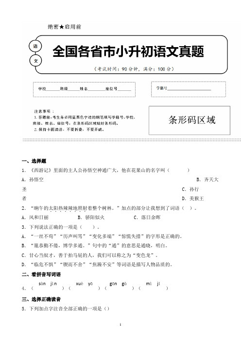 【小升初】2020年浙江省杭州市小升初语文毕业会考试题含答案(全网唯一)