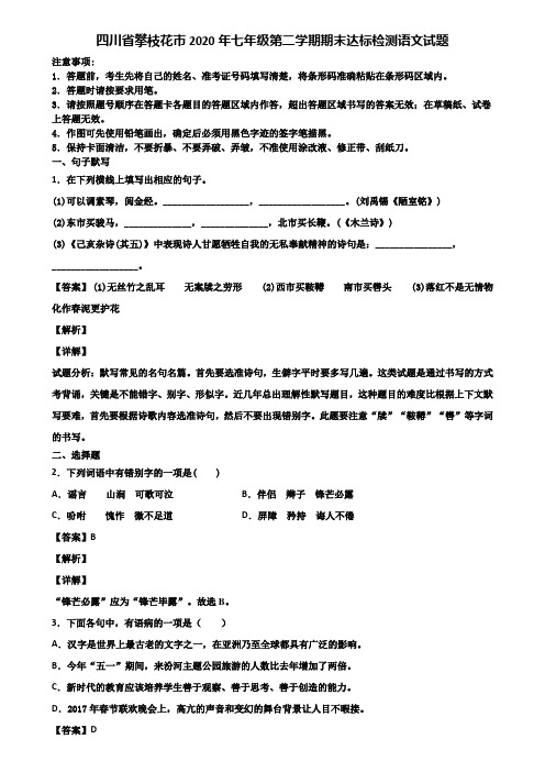 四川省攀枝花市2020年七年级第二学期期末达标检测语文试题含解析