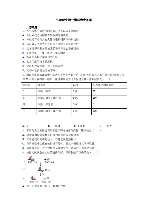 九年级生物一模试卷含答案