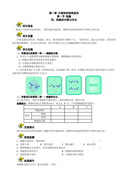 《细胞的分裂和生长》学案-冀少儿版生物七年级上册