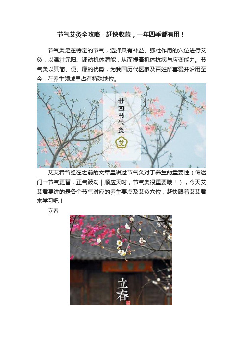 节气艾灸全攻略｜赶快收藏，一年四季都有用！