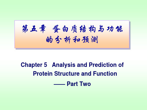 05_蛋白质结构与功能分析_2014-2