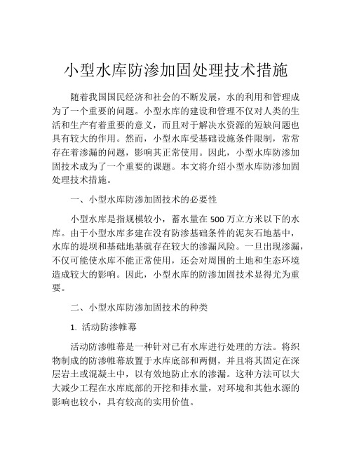 小型水库防渗加固处理技术措施