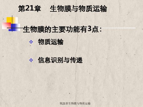 第21章生物膜与物质运输