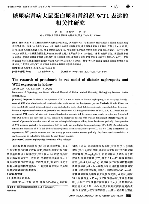 糖尿病肾病大鼠蛋白尿和肾组织WT1表达的相关性研究