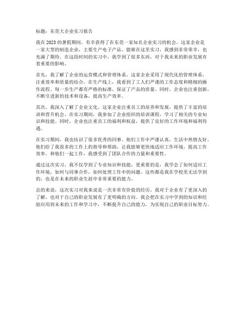 东莞大企业实习报告