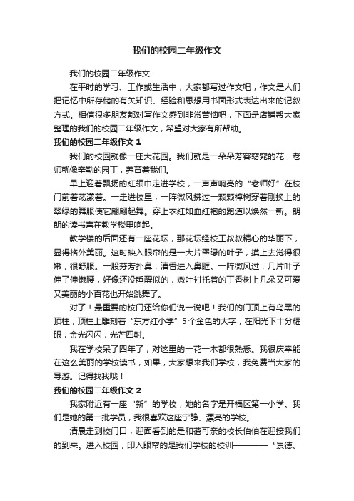 我们的校园二年级作文