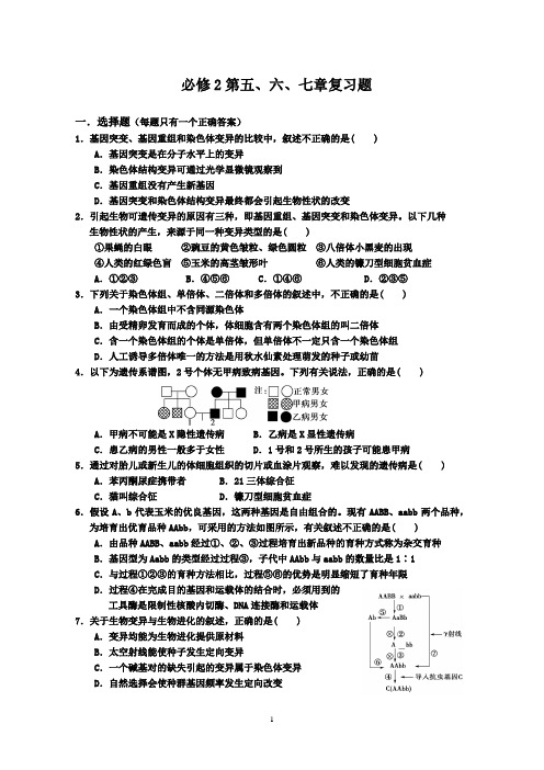 高二生物必修二期中复习题