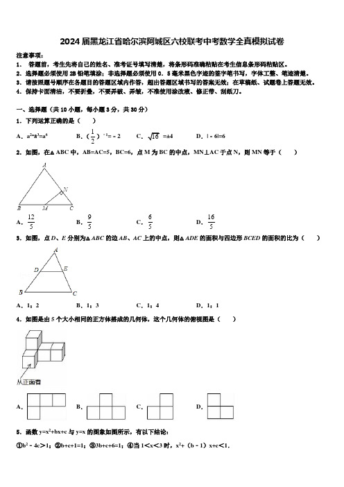 2024届黑龙江省哈尔滨阿城区六校联考中考数学全真模拟试卷含解析