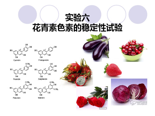 中国农业大学食品化学实验课件实验六 花青素色素稳定性实验