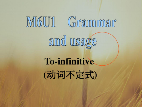 江苏省扬州市田家炳实验中学高中英语选修六：M6U1 Grammar1 课件 精品