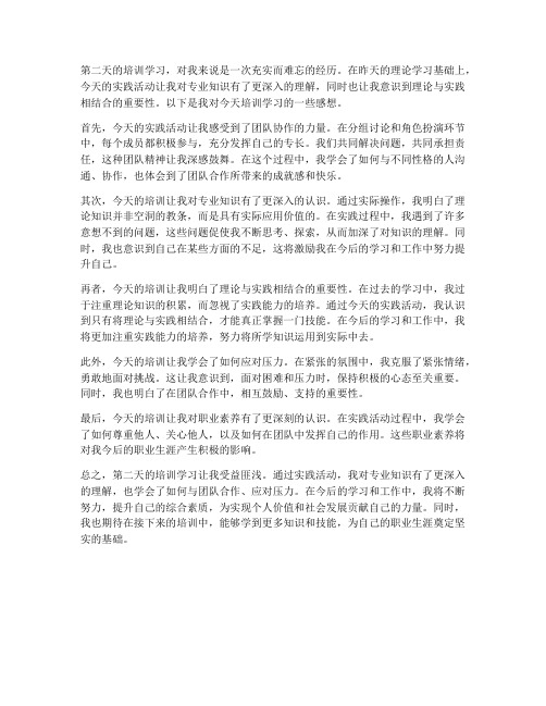 第二天的培训学习感想