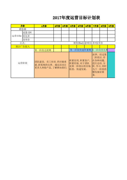 【电商运营表格】年度运营目标计划简表