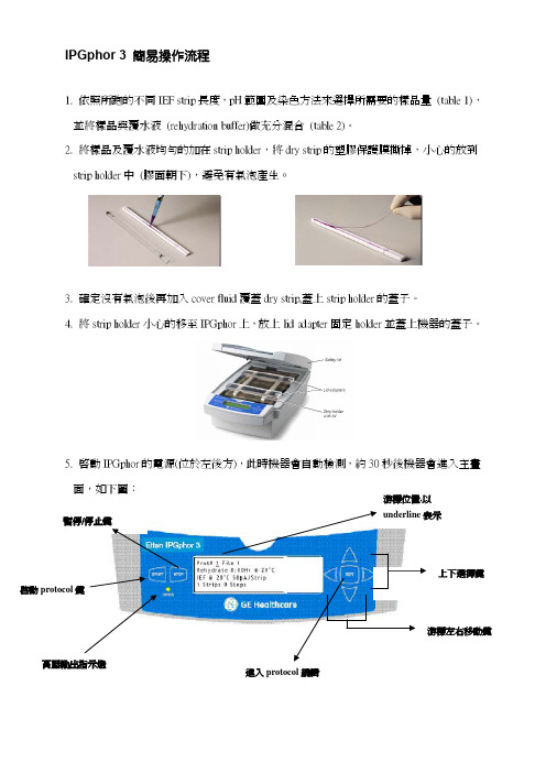 IPGphor 3 簡易操作流程 说明书