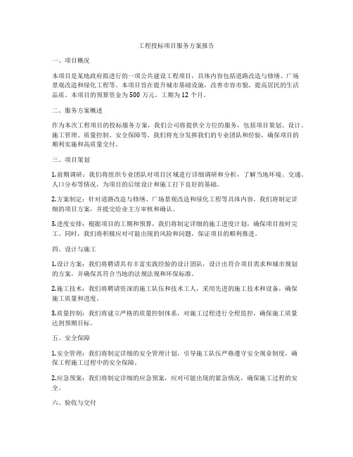 工程投标项目服务方案报告