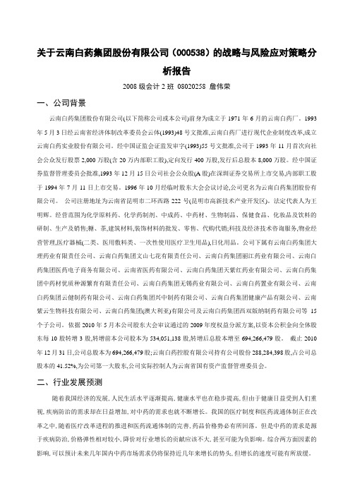 有关云南白药公司战略与风险策略分析