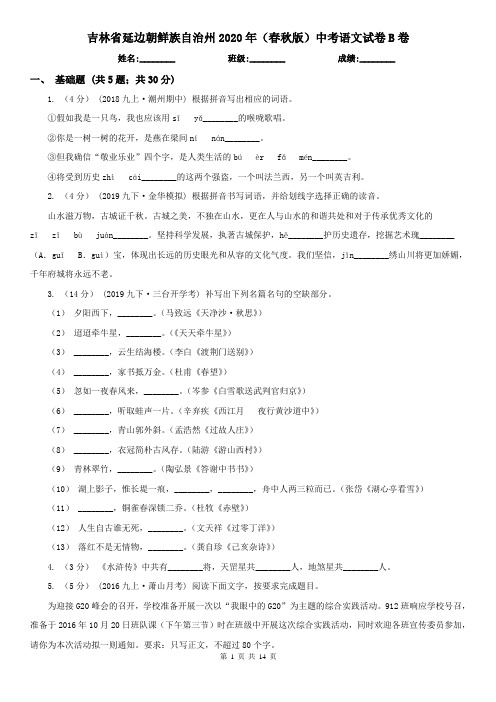 吉林省延边朝鲜族自治州2020年(春秋版)中考语文试卷B卷