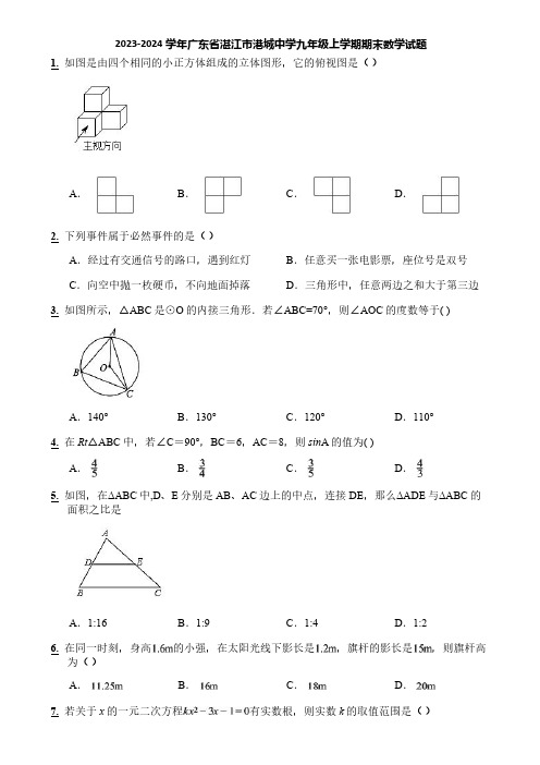 2023-2024学年广东省湛江市港城中学九年级上学期期末数学试题