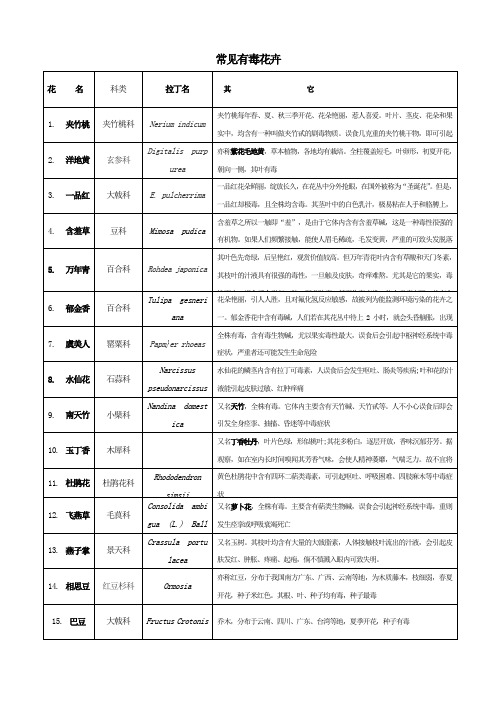 常见有毒花卉