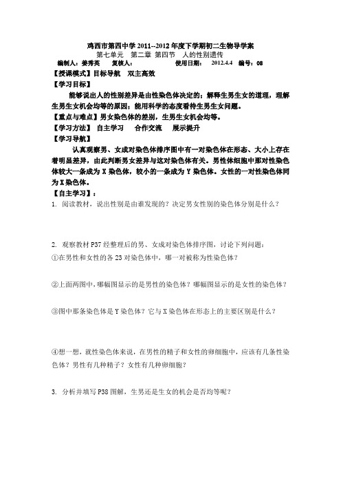 人的性别遗传