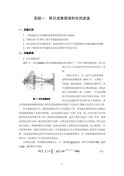 光信息综合实验