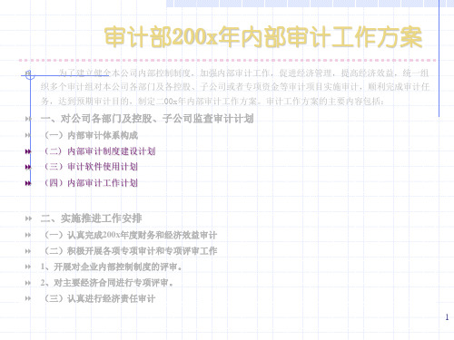 内部审计工作方案