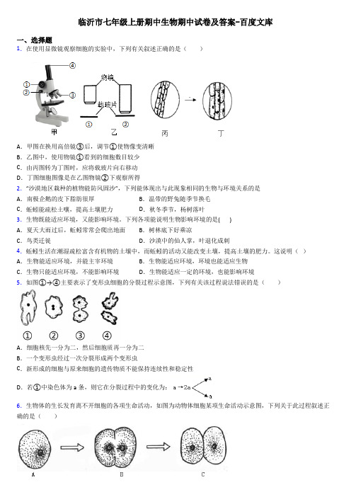 临沂市七年级上册期中生物期中试卷及答案-百度文库