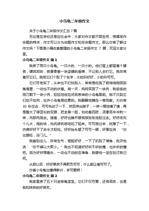 关于小乌龟二年级作文汇总7篇