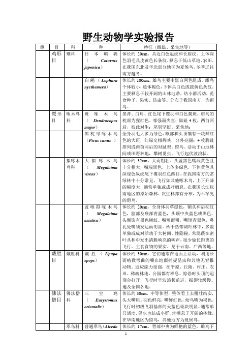 野生动物学实验报告(鸟纲、哺乳)