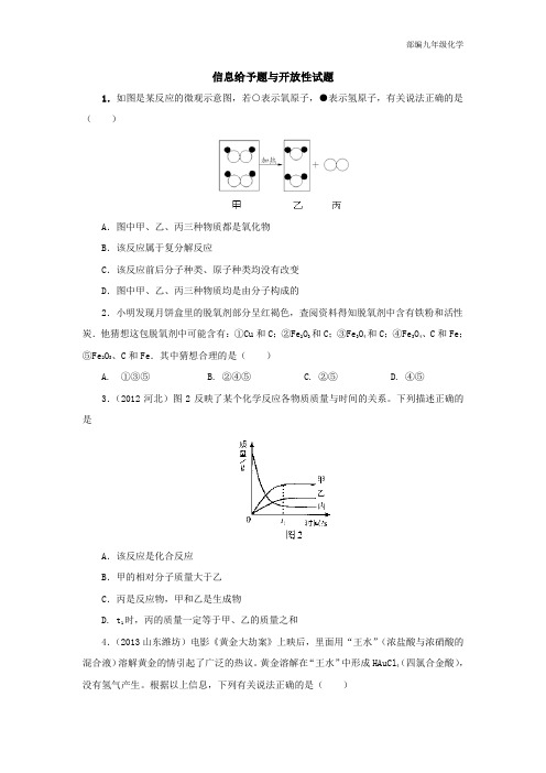 部编2020年中考化学专题训练：信息给予题与开放性试题(含2013试题,含详解)