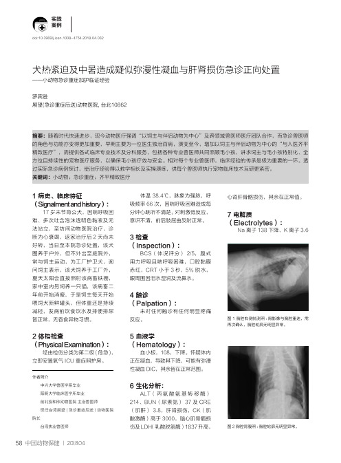 犬热紧迫及中暑造成疑似弥漫性凝血与肝肾损伤急诊正向处置——小动物急诊重症加护临证经验