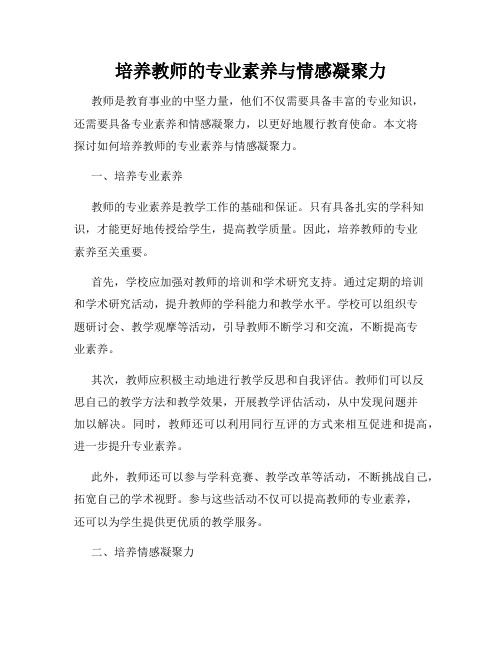 培养教师的专业素养与情感凝聚力