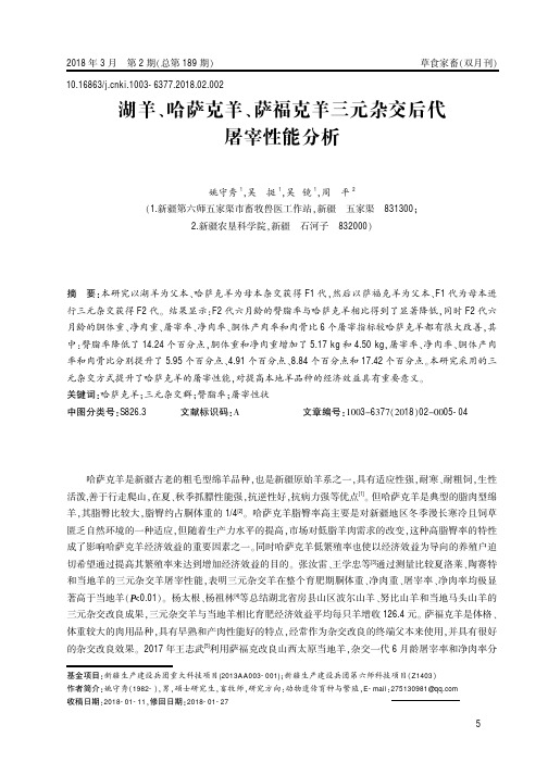 湖羊、哈萨克羊、萨福克羊三元杂交后代屠宰性能分析