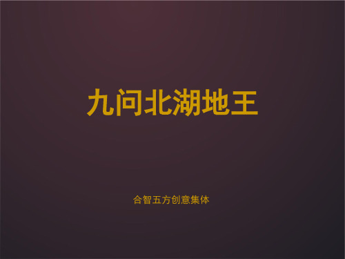 北湖地王推广(合智五方)ok