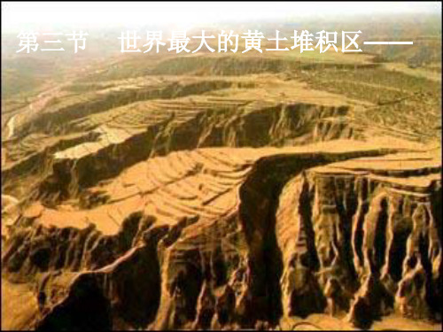 人教版地理八年级下册6.3 世界最大的黄土堆积区──黄土高原 (19张)ppt