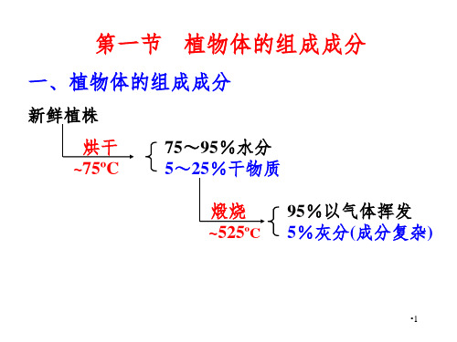 植物营养元素幻灯片