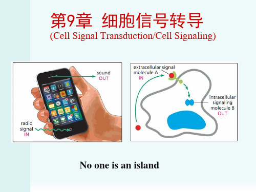 第9章 细胞信号转导(1)