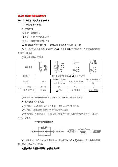 第五章细胞的能量供应和利用知识总结-高一生物人教版必修一