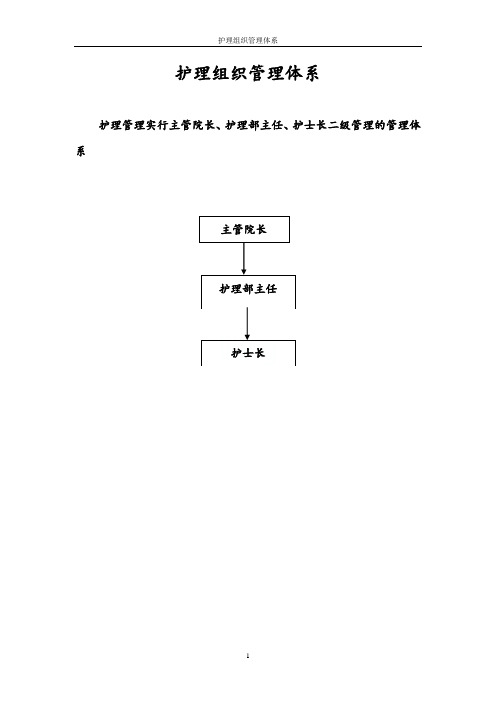 护理组织管理体系