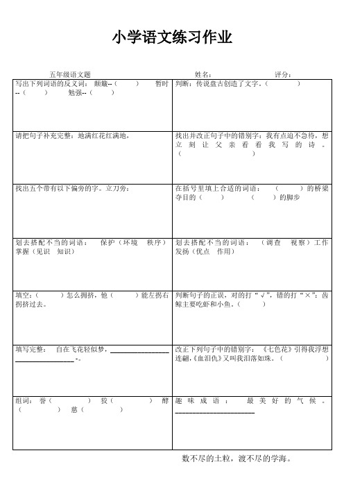 小学五年级语文精作细练III (75)