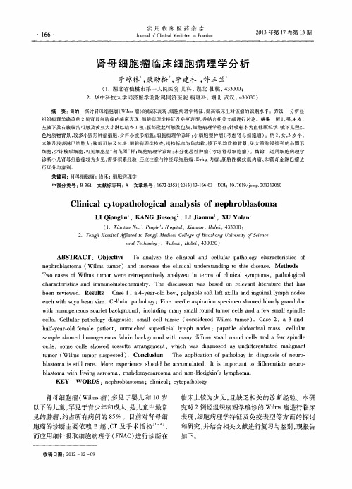 肾母细胞瘤临床细胞病理学分析