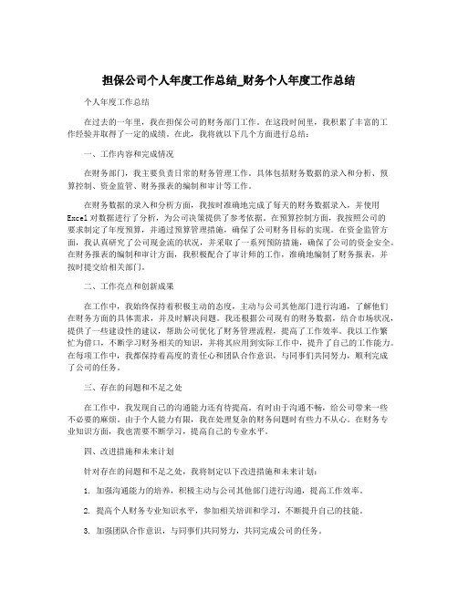 担保公司个人年度工作总结_财务个人年度工作总结