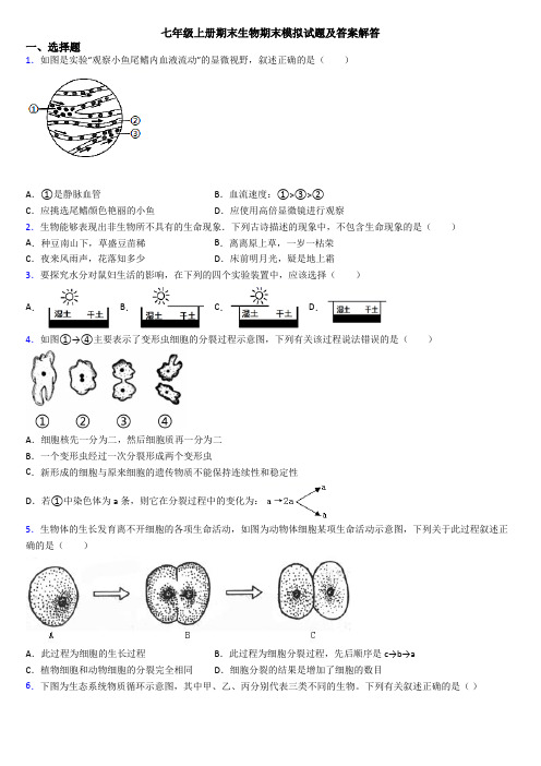 七年级上册期末生物期末模拟试题及答案解答